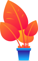Web Design & Development